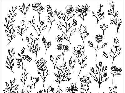 hand drawn flowers floral floral elements hand drawn hand drawn illustration