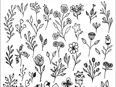 hand drawn flowers