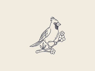 Bird animal badge bird branding cardinal drawing hand drawn illustration line line work logo patch