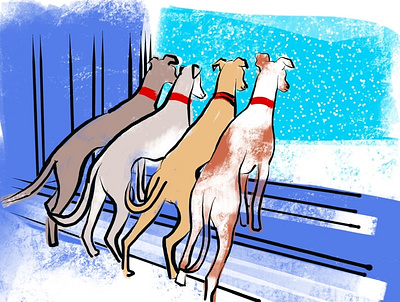 Greyhounds window illustration dogs greyhounds snow window winter