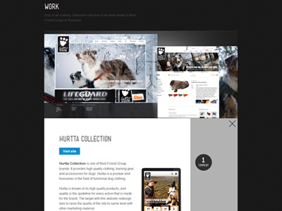 Single work case portfolio web