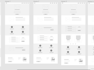 Wireframe for carrot drug project