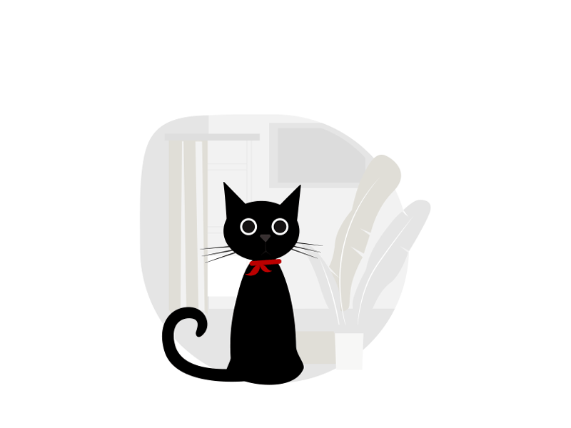 Error animation blackcat cat error lottie