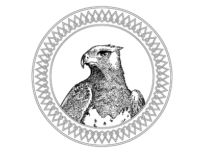 Martial Eagle drawing eagle illustration ink ink drawing nature nature art photoshop wildlife