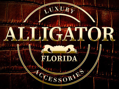 Alligator Florida Logo - Brass branding illustration logo vector web