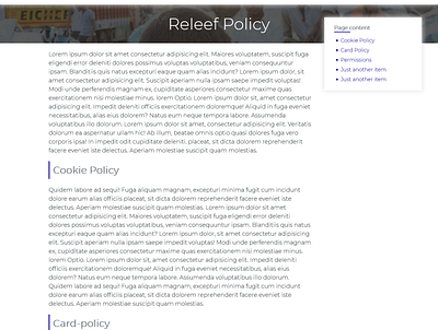 Releef Policy page css design ui web