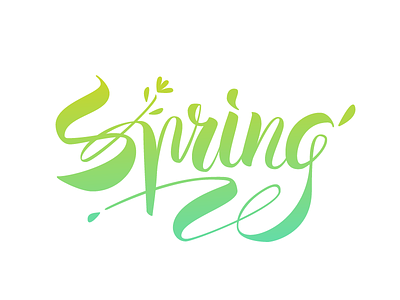 Spring branding calligraphy logo spring type typeface typography