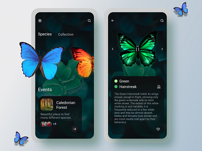 Butterfly collection app concept app branding butterfly clean clean ui concept daily ui design graphic design mobile mobile ui trending ui ui design ux uxui