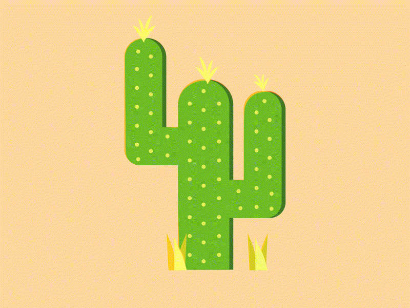 Windy Cactus 2d animation after effect illustration motion graphics vector