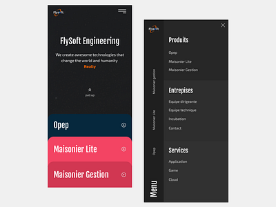 Home page & Menu - Flysoft engineering Website