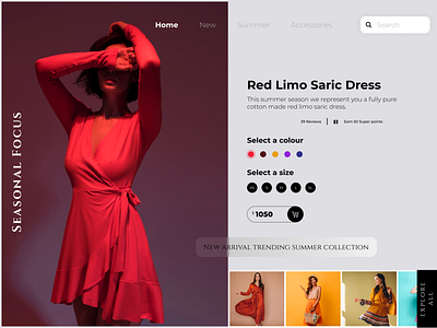 Clothes Shopping Website Designs