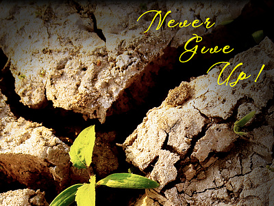 Never Give Up! graphic design poster