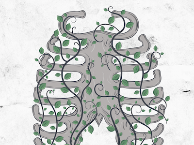 Ribcage art drawing illustration illustrator poem ribcage shakespeare sonnet vector vines