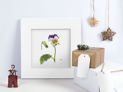 “WILD PANSY. VIOLA TRICOLOR” 2020 aquarelle botanicalart creative happylife flower illustration gallerywall hand drawn homedecor illustration interiorart interiorlovers lovelyinterior my home vibe nteriors original pansy sale vellum viola watercolorpainting wildpansy