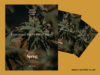 Medly Supper Club Flyers advertising branding cannabis luxury poster print