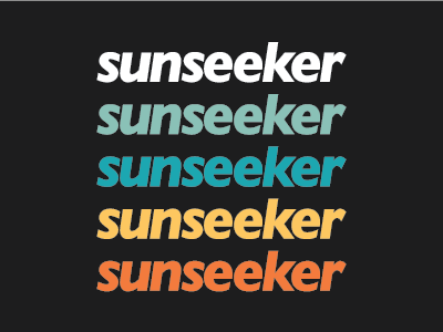 Sunseeker Logomark branding identity logo typography wordmark