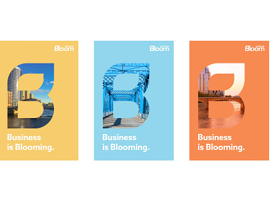 Bloom Credit Union - Brand Development bank banking brand identity branding business corporate design corporate identity design finance graphic design logo