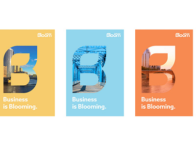 Bloom Credit Union - Brand Development