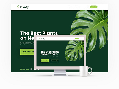 UI Website Design For PlanTy