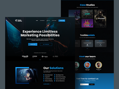 Trendblocks Landing Page blockchain branding dark themed defi design landing page marketing poppins ui ux