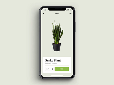 Add Plant animation app design interactive ios iphone micro interaction mobile plants product design swipe ui