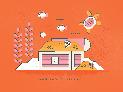 Koh Tao chest fish gold illustration money sea life star texture thailand travel turtle water