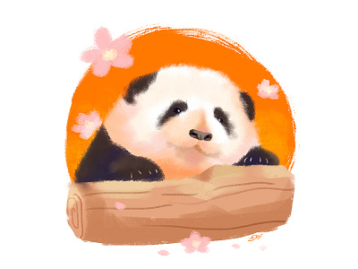 Giant panda  Hehua 和花