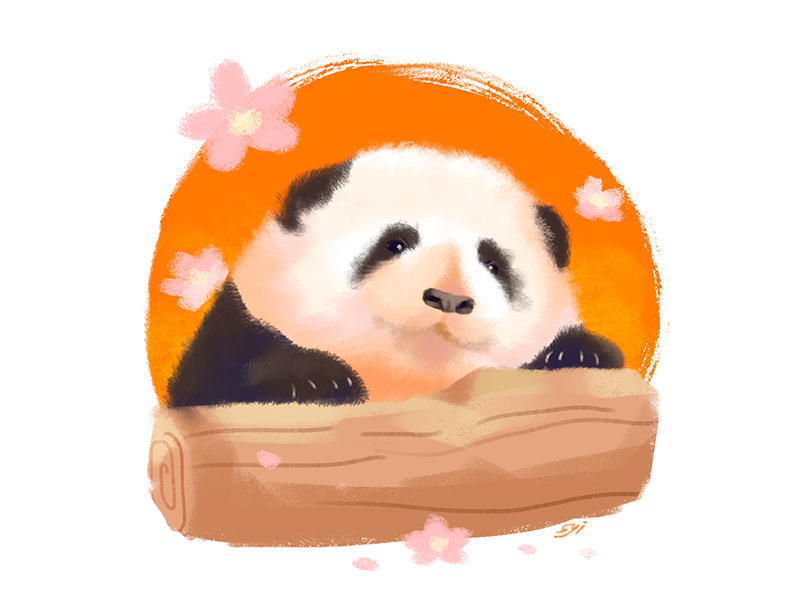 Giant panda Hehua 和花 by Syi on Dribbble