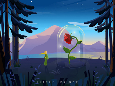 little prince illustraion little prince night plante rose