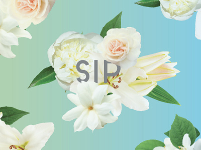 Floral Cup Wrap Design No. 2