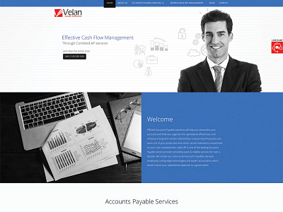 Accounts Payable website accounts ap services billing finance financial landing page payable website