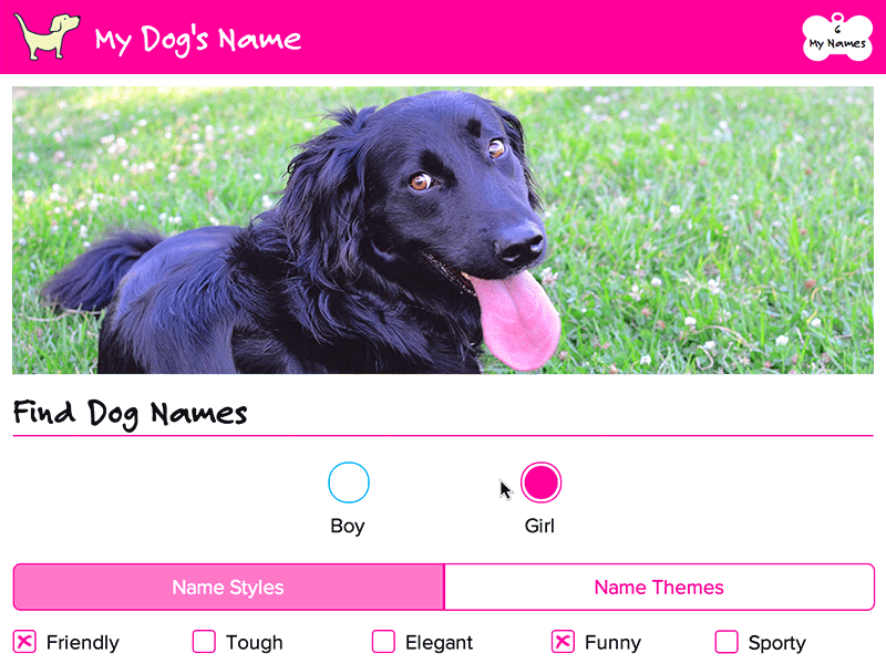 My Dog's Name