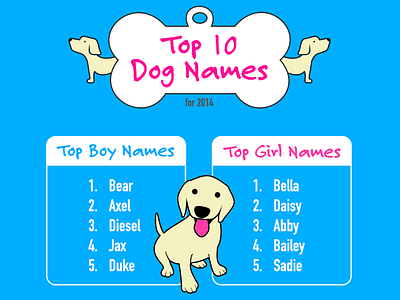 Dog Names Infographic by Kyle J Larson on Dribbble