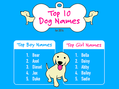 Dog Names Infographic dog dogs illustration infographic puppy vector
