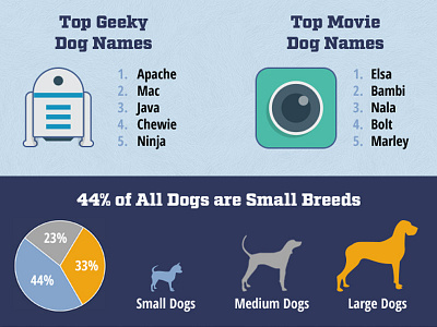 Dog Names 2015 Infographic