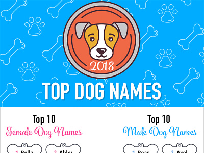 Top Dog Names of 2018 Infographic