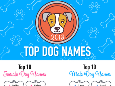 Top Dog Names of 2018 Infographic dog illustration infographic vector