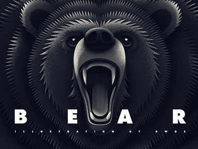 Bear animal bear illustration