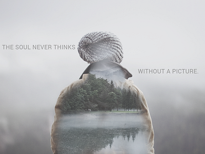 Aristotle "The Soul Never Thinks" animation fog gif lake motion woods