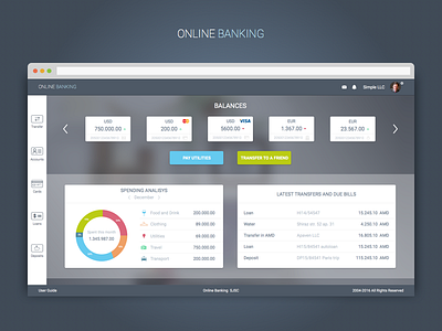 Online Banking application banking card concept dashboard online web