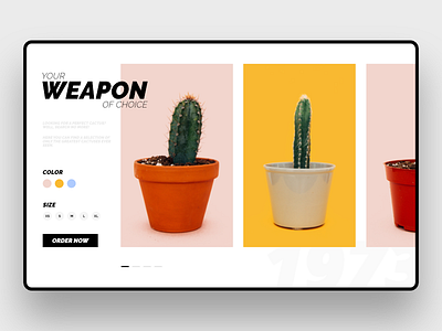 Cactus affinity cactus designer e-commerce ipad shop