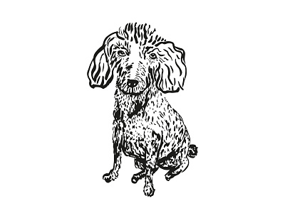 mondaay the dog art art direction character character illustration design dog draw drawing drawing ink editorial illustration graphic illustration illustration design illustration digital illustrator line little minimal pencyl sketch