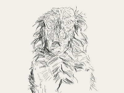 wolfhound adobe illustrator art character design dog draw drawing draws editorial illustration graphic illustration illustration design illustration digital illustrator line lines minimal pencil drawing wolf