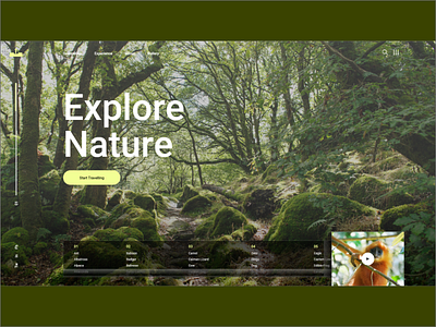Nature Exploring Application graphic design logo