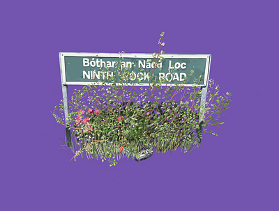 Ninth Lock Road (Bóthar an Naoú Loc) illustration streetsigns