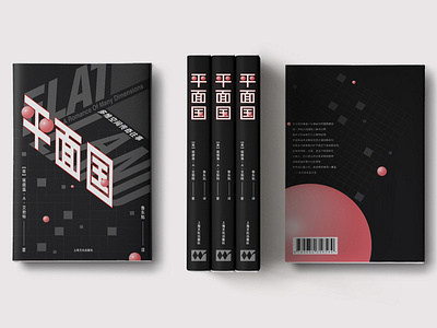 BOOK COVER DESIGN: Flat Land (Chinese Version)