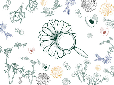 Illustration for Branding : Petite Botanist botanical art botanical illustration branding design icon illustration illustration design logo vector