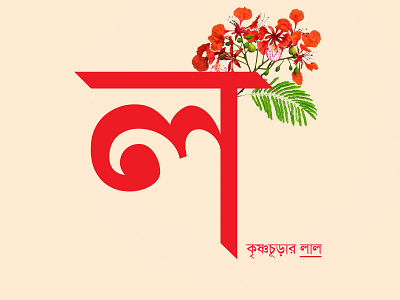 Bangla Letter Series ”ল” adobe illustrator adobe photoshop design illustration vector