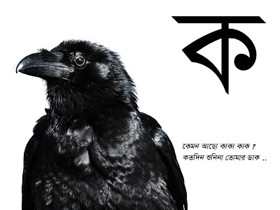 Bangla Letter Series ”ক” abstract adobe photoshop design illustration typography