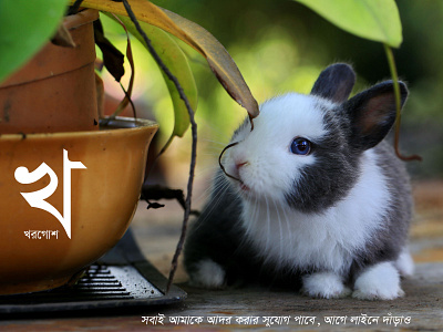 Bangla Letter Series ”খ” adobe photoshop design editing illustration